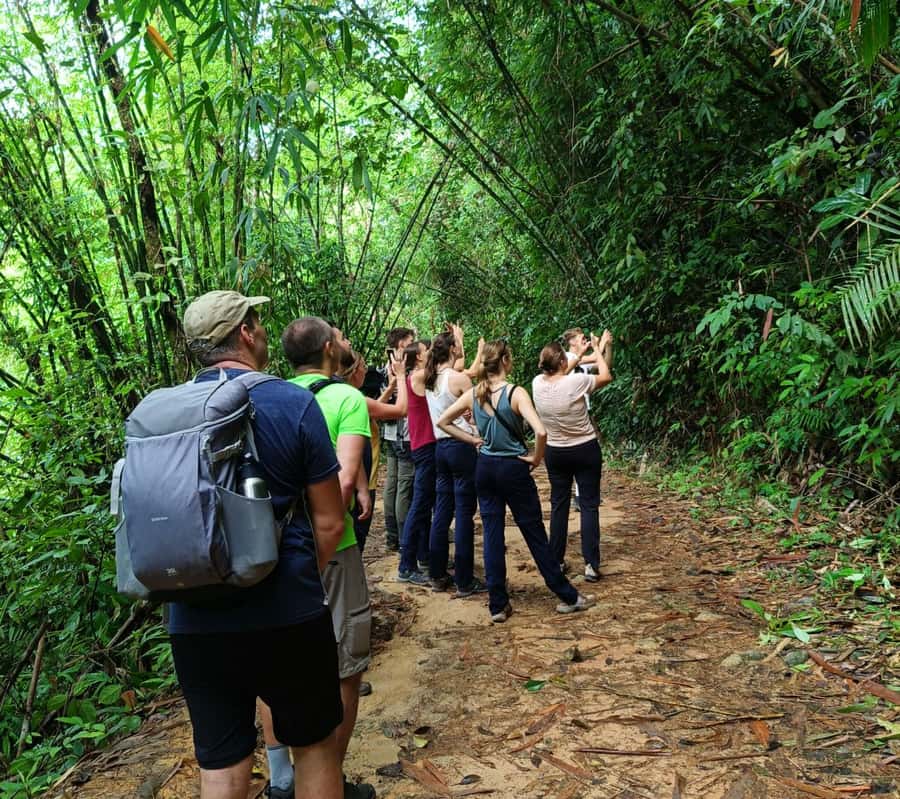 Khao Sok: Private Day Trekking, Jungle Dinner & Night Safari - Night safari: the forest changes after dark
