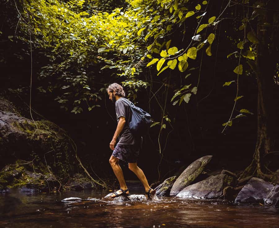Khao Sok: Private Day Trekking, Jungle Dinner & Night Safari - Who gets the best value from the $192 price?