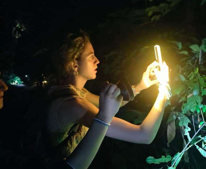 Khao Sok: Private Night Safari Adventure w/ Hotel Transfer - The walk begins with a search, not a show