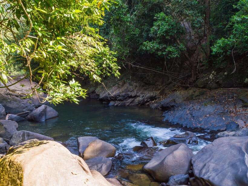 Khao Sok: Private Waterfalls and Wildlife Half-Day Trek - Should you book it?