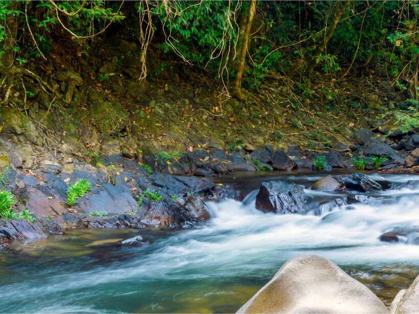 Khao Sok: Private Waterfalls and Wildlife Half-Day Trek - Private or small group: which works better?