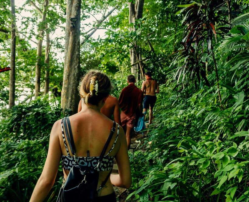 Khao Sok: Private Waterfalls and Wildlife Half-Day Trek - The four-hour route through Khao Sok