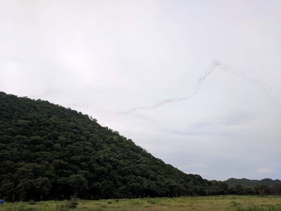 Khao Yai National Park: 2-Day Private Tour from Bangkok - Key points to know before you book