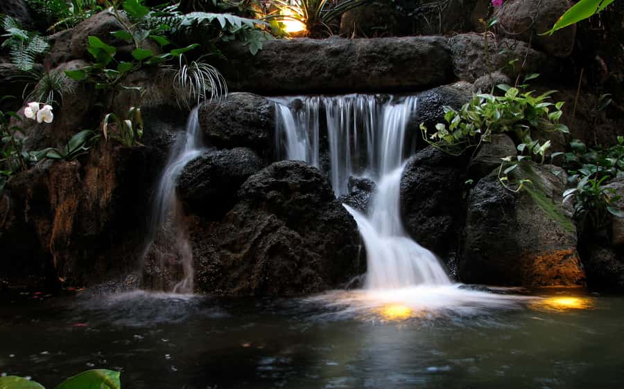 Khao Yai National Park: 2-Day Private Tour from Bangkok - Viewpoints and your first evening in Khao Yai
