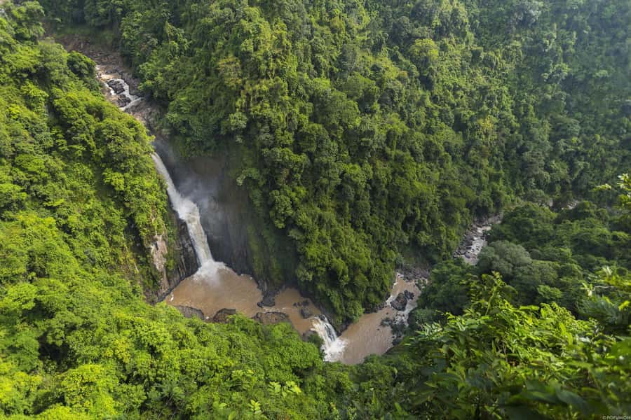 Khao Yai National Park: 2-Day Private Tour from Bangkok - Day two begins in the forest