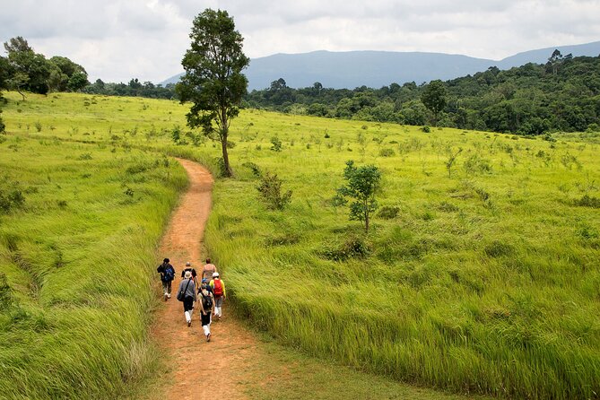 Khao Yai National Park Full Day - The early start and long road from Bangkok