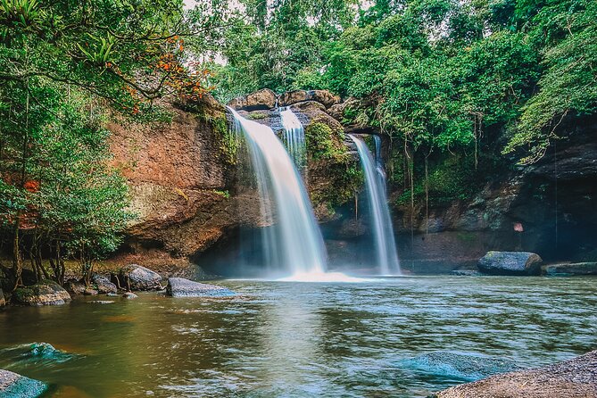 Khao Yai National Park Full Day - Wildlife: what you might actually see