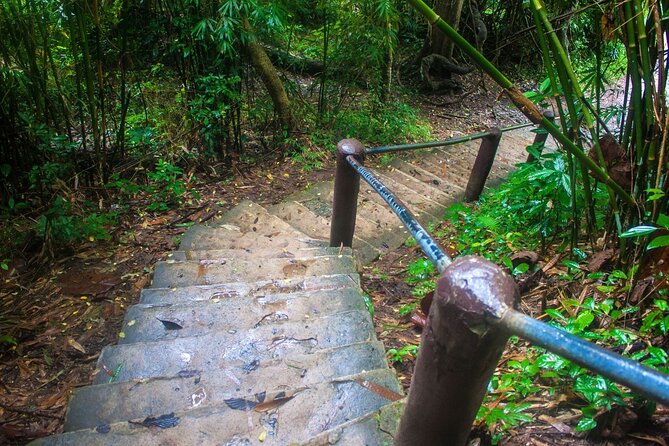 Khao Yai National Park Full-Day From Bangkok - Including Ticket - Haew Narok, the park’s highest waterfall