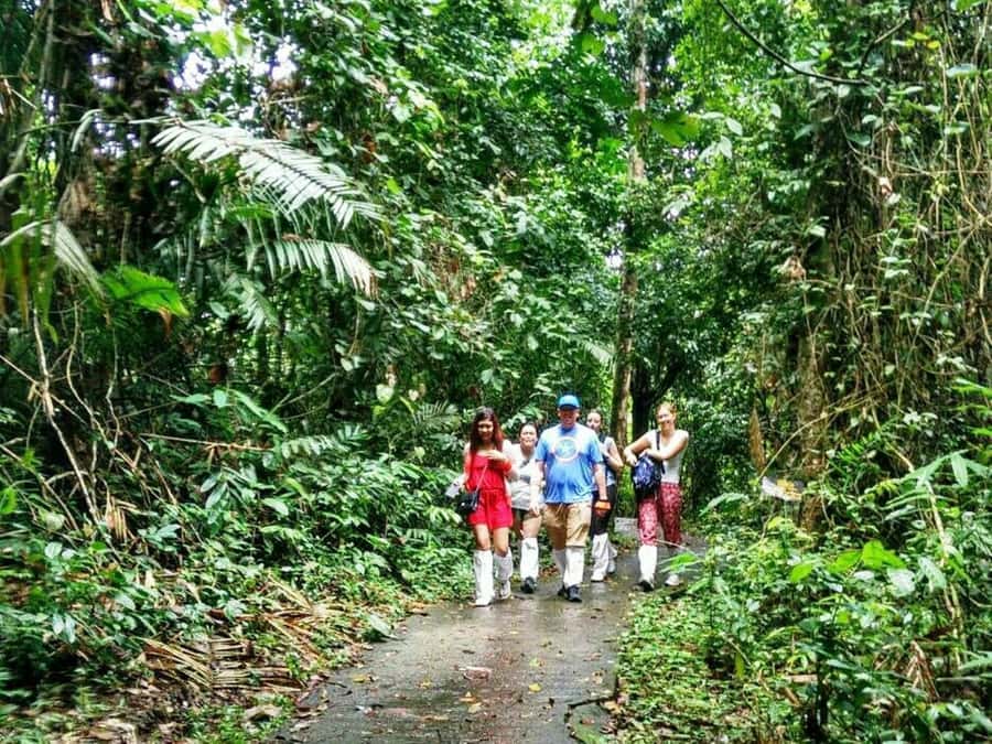 Khao Yai National Park: Waterfalls - Heaw narok & Heaw Suwat - Key points to know before booking