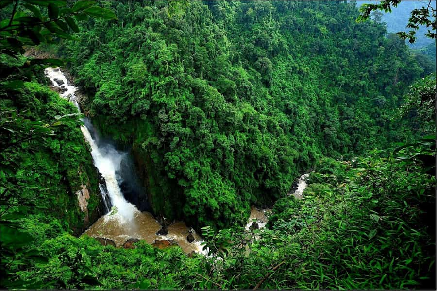 Khao Yai National Park: Waterfalls - Heaw narok & Heaw Suwat - Who should book this Khao Yai outing?