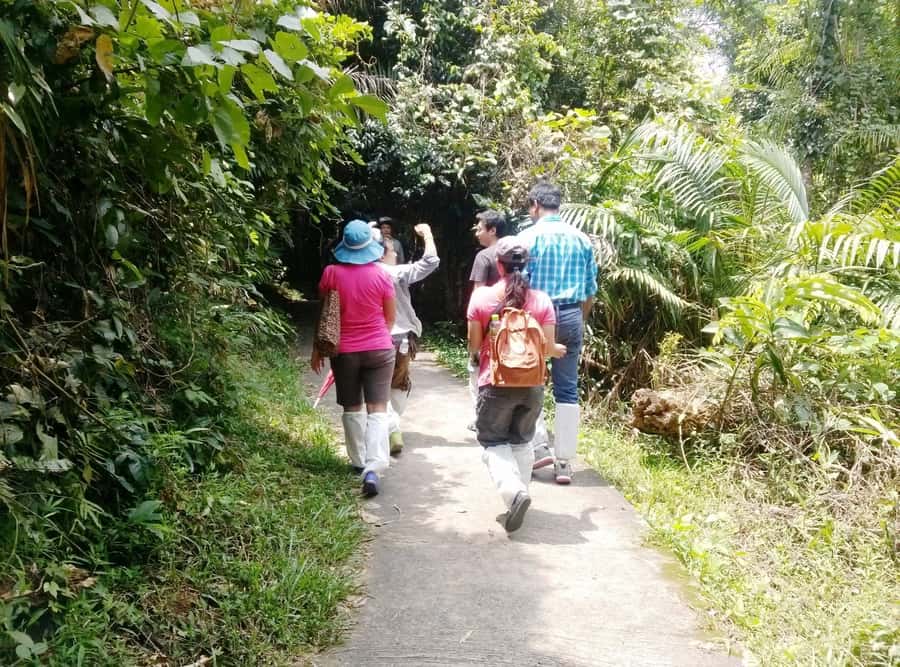Khao Yai National Park: Waterfalls - Heaw narok & Heaw Suwat - Lunch with three or four Thai choices
