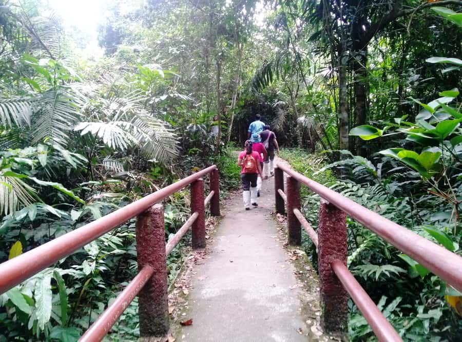 Khao Yai National Park: Waterfalls - Heaw narok & Heaw Suwat - Is $189 per person good value?