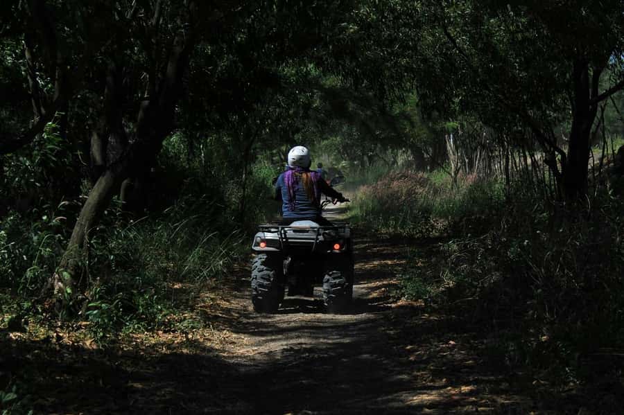 KhaoSok: Green Trails ATV Safari in Khao Sok - Who will enjoy this most