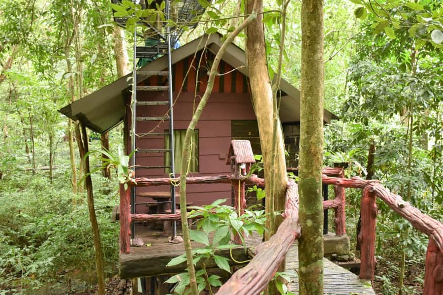 Khaosok National Park: 4-Day and 3-Night Package Trip - Day 4: A quiet morning before the pier