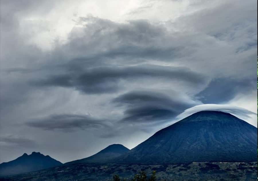 Kigali: Rwanda Gorilla Tracking in Volcanoes National Park - Who should book this experience