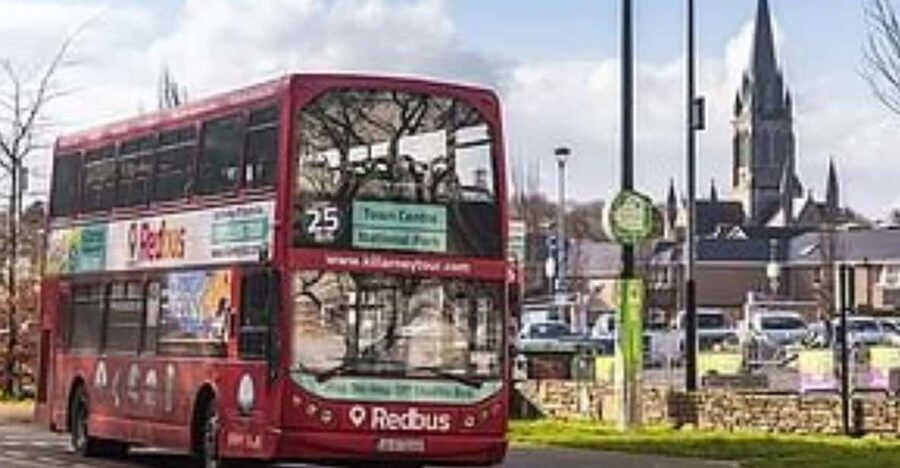 Killarney: Hop-On Hop-Off Bus to Killarney National Park - Key points to know before you go