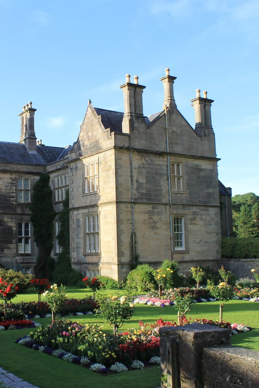Killarney: Hop-On Hop-Off Bus to Killarney National Park - Muckross Abbey and its old stone ruins