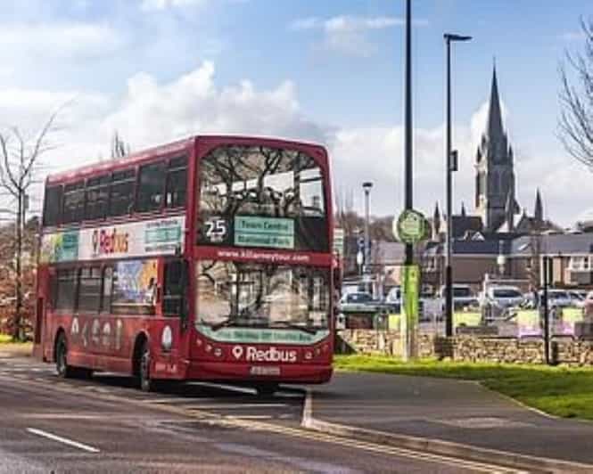 Killarney: Hop-On Hop-Off Bus to Killarney National Park - Ross Castle and the shores of Lough Leane