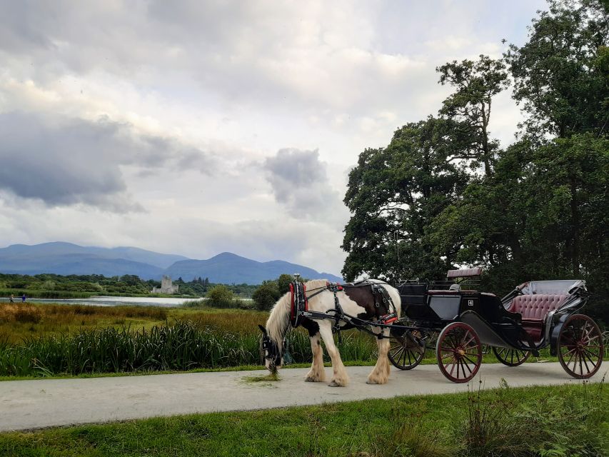 Killarney: Killarney National Park Private Tour - Key points to know before booking