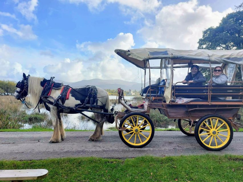 Killarney: Killarney National Park Private Tour - Carrauntoohil and the mountain views