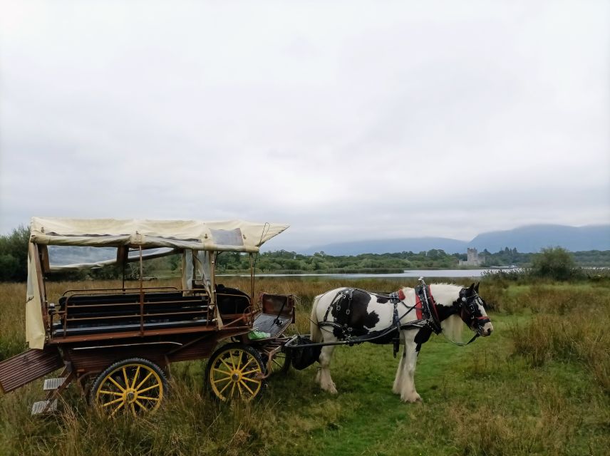 Killarney: Killarney National Park Private Tour - Is $48 good value?