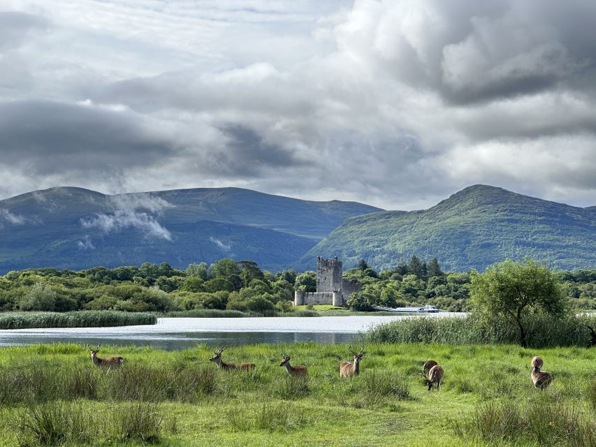 Killarney: Killarney National Park Private Tour - Killarney National Park by horse