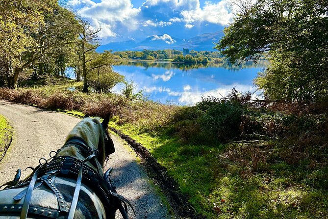Killarney National Park Tour - Is $60.46 per person good value?
