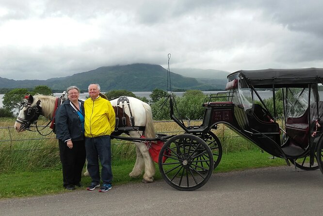 Killarney National Park Tour - What the guides add to the hour