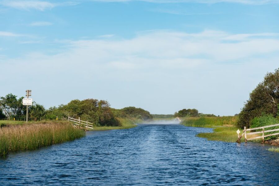 Kissimmee: Everglades Airboat Adventure Tour - My Take: A Strong Break from the Theme Parks