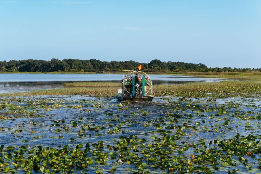 Kissimmee: Everglades Airboat Adventure Tour - Searching for Alligators in the Marsh