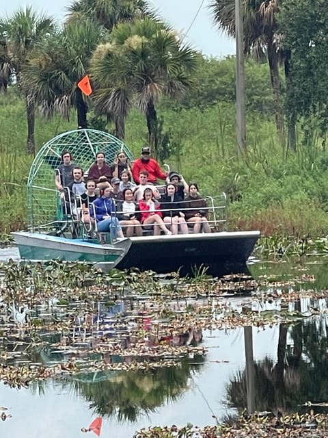 Kissimmee: Everglades Alligator and Wildlife Airboat Tour - My verdict: a short ride with a memorable finish