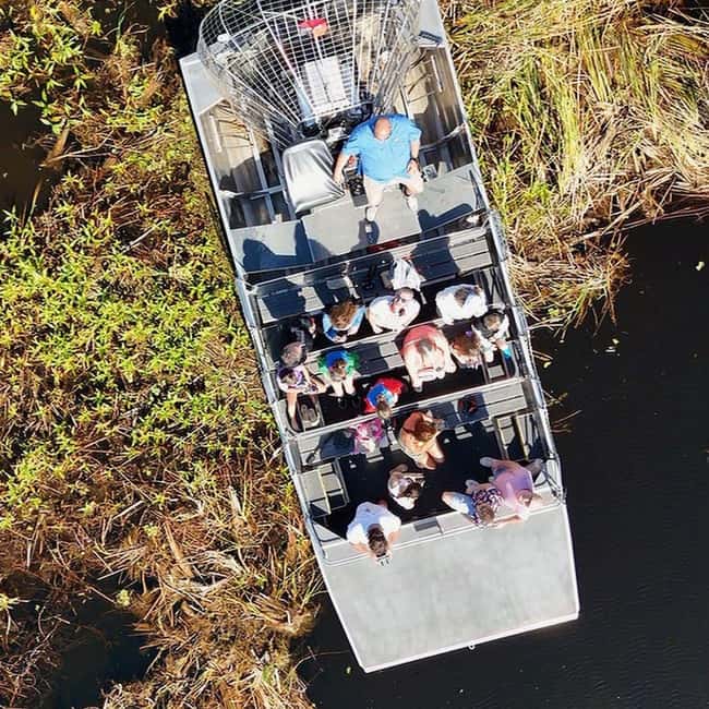 Kissimmee: Everglades Alligator and Wildlife Airboat Tour - Wildlife watching without false promises