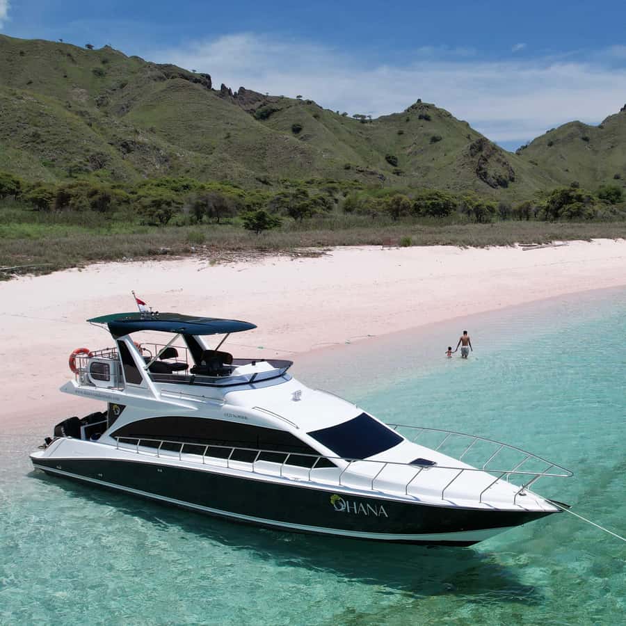 Komodo Full Day Speedboat Tour from Labuan Bajo - Food, equipment, and what to pack