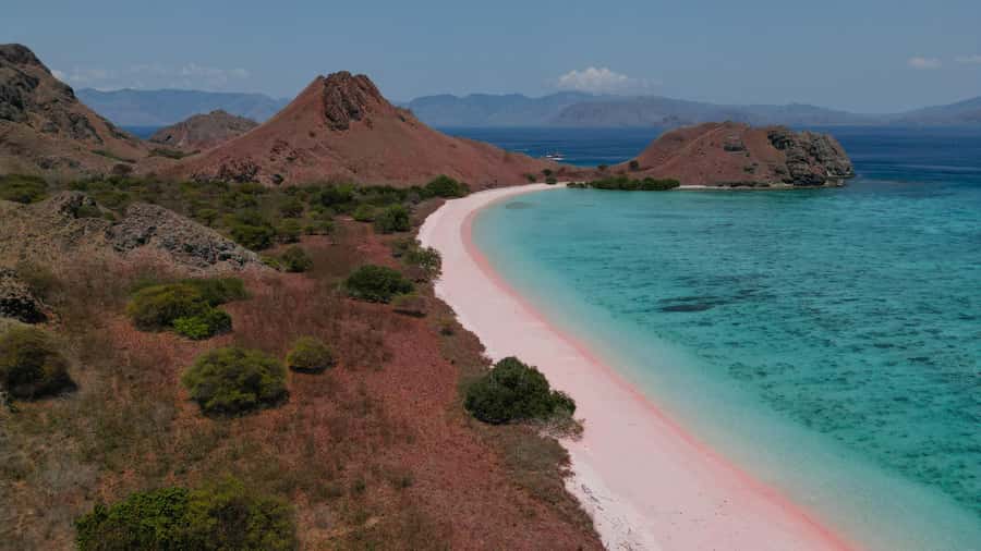 Komodo Full Day Speedboat Tour from Labuan Bajo - A big day across Komodo National Park