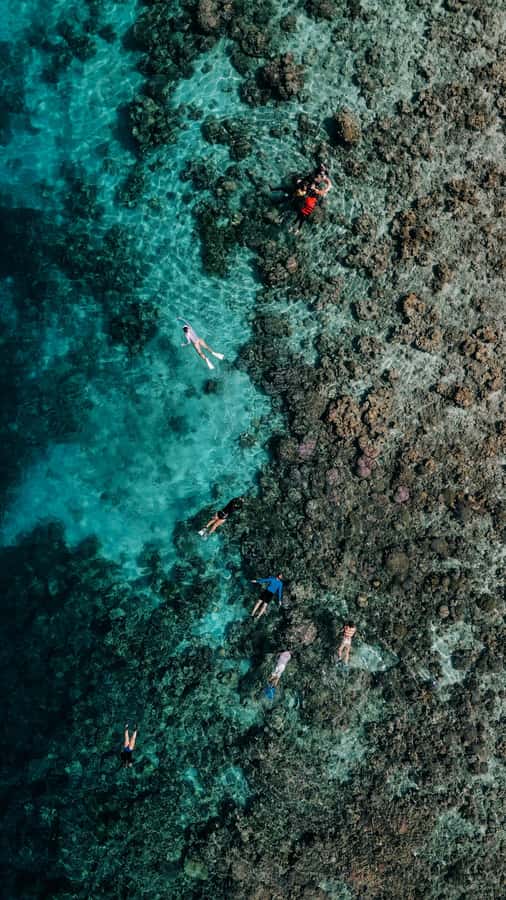 Komodo Full Day Speedboat Tour from Labuan Bajo - Pink Beach: color, swimming, and a quick snorkel