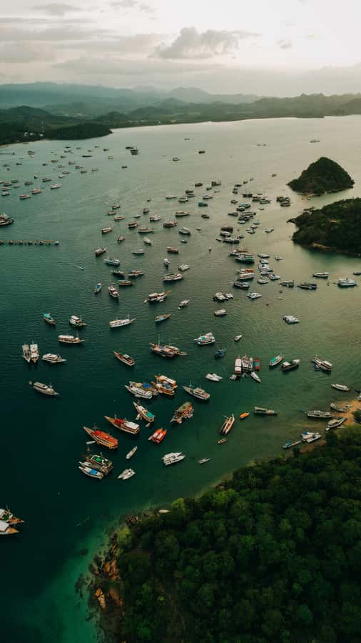 Komodo Full Day Speedboat Tour from Labuan Bajo - Meeting Komodo dragons on Komodo Island