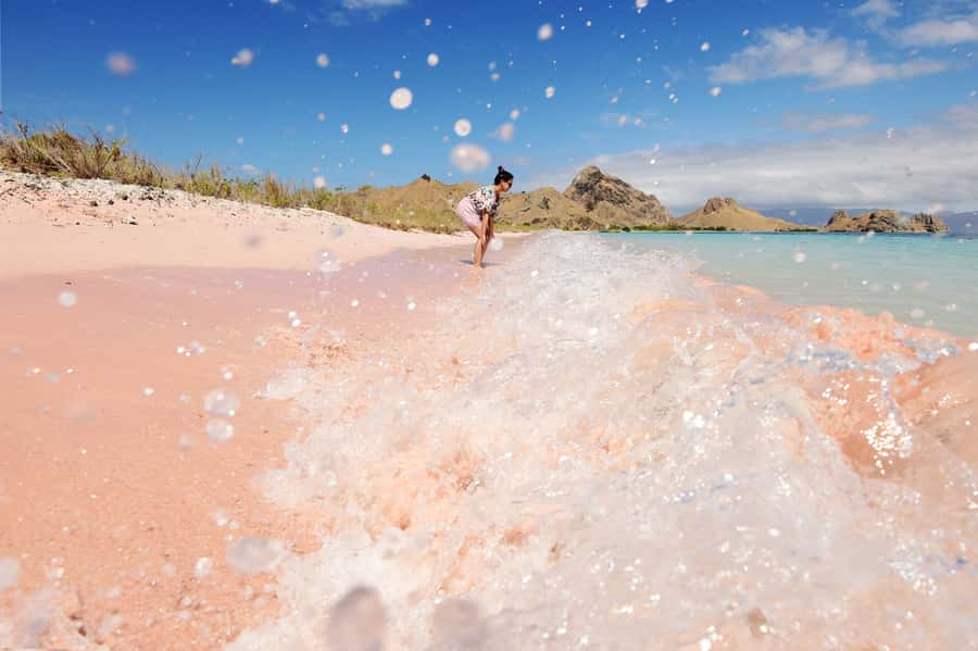 Komodo Island: Komodo Dragons & Islands Day Tour - Pink Beach: rare color, bright water, limited patience