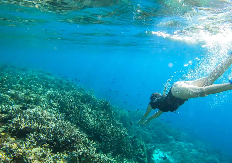 Komodo Island: Private 3-Day Tour with Boat and Hotel Stay - Key points to know before you book