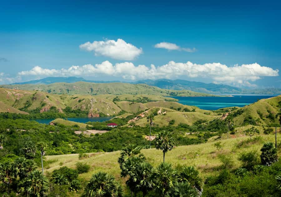 Komodo Island: Private 3-Day Tour with Boat and Hotel Stay - The boat experience: authentic, sometimes uncomfortable