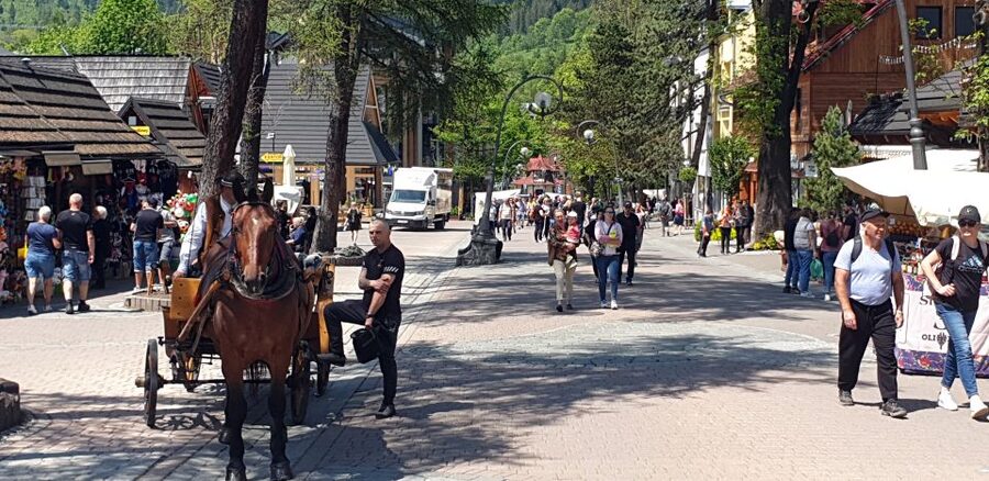 Krakow: Zakopane, Funicular, Cheese, and Highland Day Trip - Zakopane and Two Hours Around Krupówki Street
