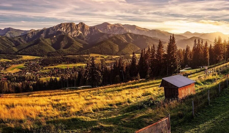 Krakow: Zakopane Tatra Mountains, Cable Car, Local Tasting - Who should book this Zakopane day trip?