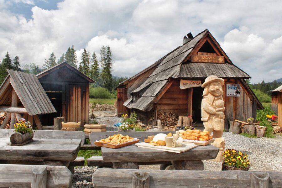Krakow: Zakopane Tatra Mountains, Cable Car, Local Tasting - Transport, guides, and the pace of the day
