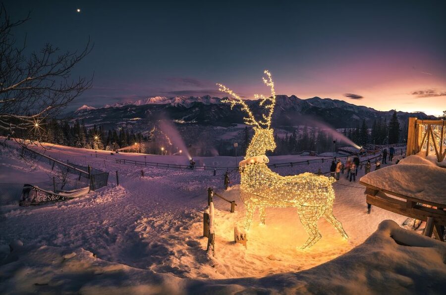 Krakow: Zakopane Tatra Mountains, Cable Car, Local Tasting - When the trip offers the best value