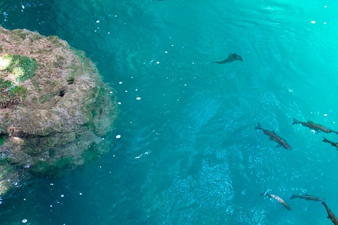 Krka Waterfalls Tour from Split with Boat Ride & Swimming - Timing, Group Size, and Comfort