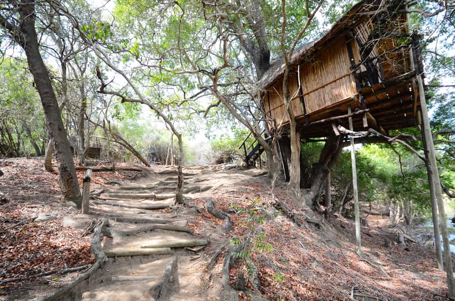 Kruger National Park: 3-Day Safari Tour and Treehouse Stay - A compact safari with a lot packed in