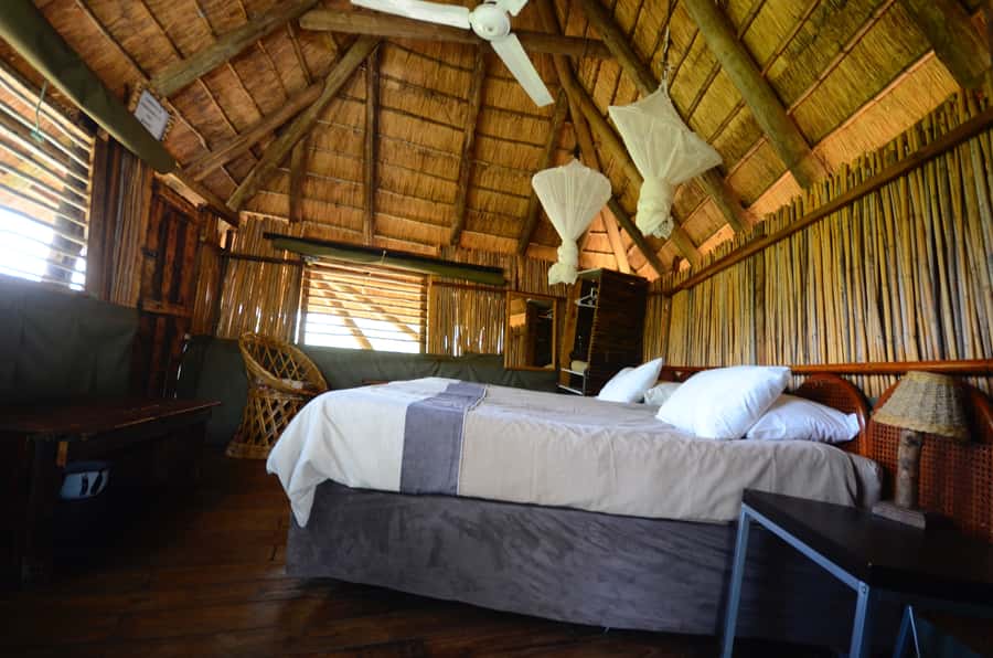 Kruger National Park: 3-Day Safari Tour and Treehouse Stay - Should you book it?
