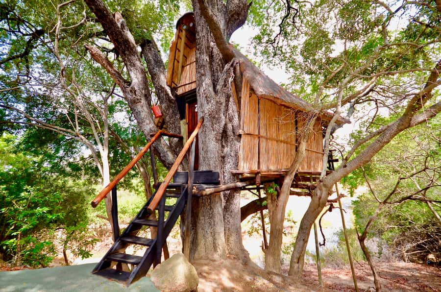 Kruger National Park: 3-Day Safari Tour and Treehouse Stay - Day one: Johannesburg to Balule Game Reserve