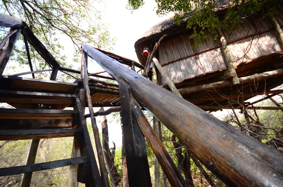 Kruger National Park: 3-Day Safari Tour and Treehouse Stay - Day two: A full day in Kruger National Park