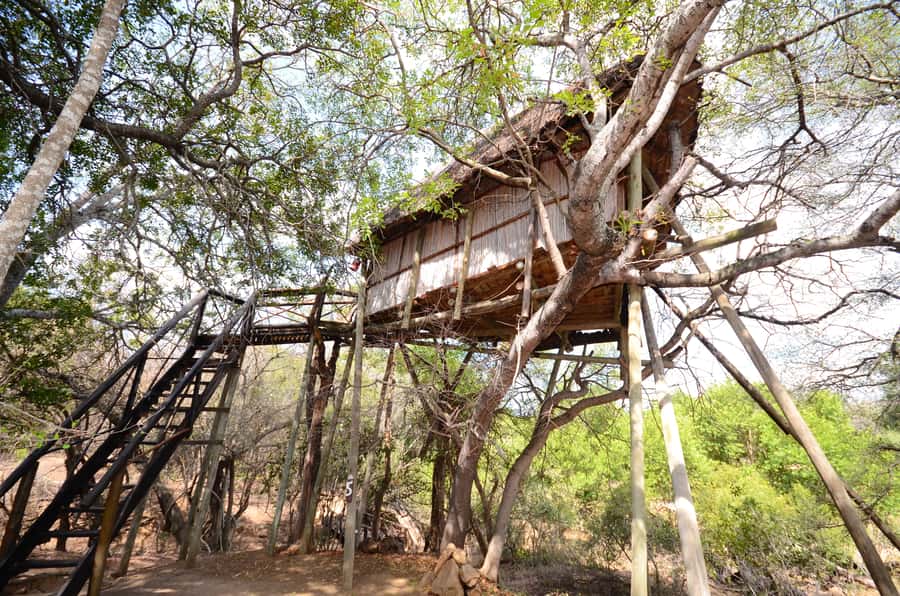 Kruger National Park: 3-Day Safari Tour and Treehouse Stay - The treehouse question matters