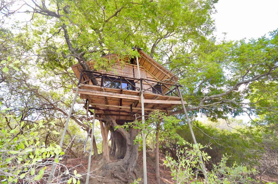 Kruger National Park: 3-Day Safari Tour and Treehouse Stay - Bush barbecue at Marula Tree Boma